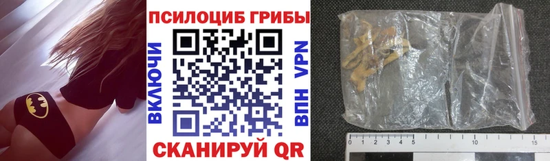 Псилоцибиновые грибы Psilocybe  Заводоуковск 